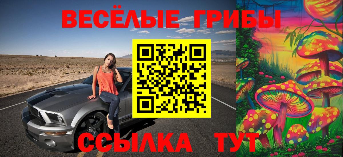 Галлюциногенные грибы мухоморы  Галлюциногенные грибы Magic Shrooms  Новокуйбышевск  Вход с VPN 